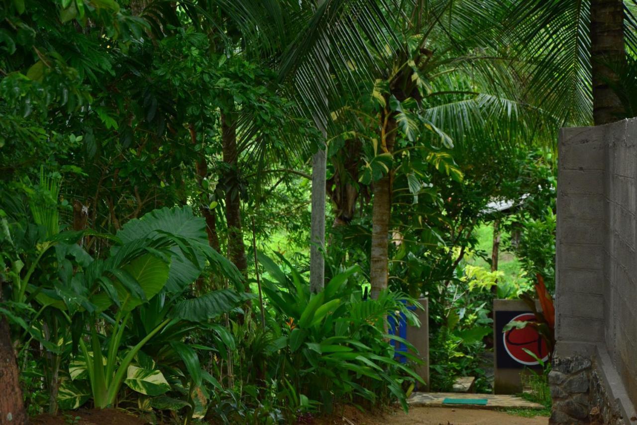 View Guesthouse & Bistro At Goyambokka Tangalle Bagian luar foto
