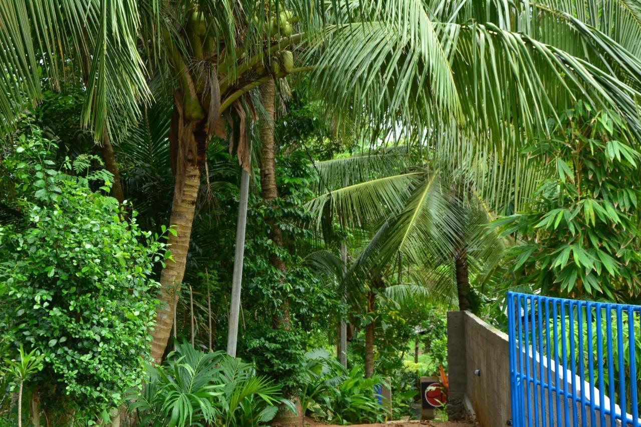 View Guesthouse & Bistro At Goyambokka Tangalle Bagian luar foto