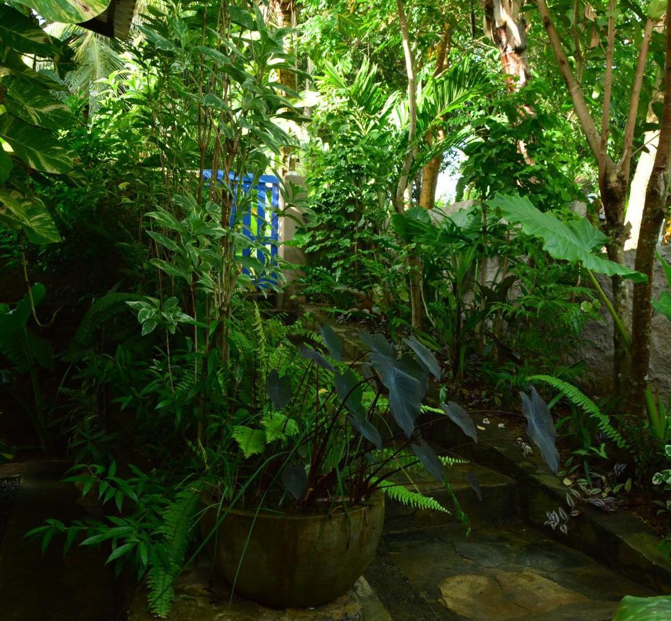View Guesthouse & Bistro At Goyambokka Tangalle Bagian luar foto