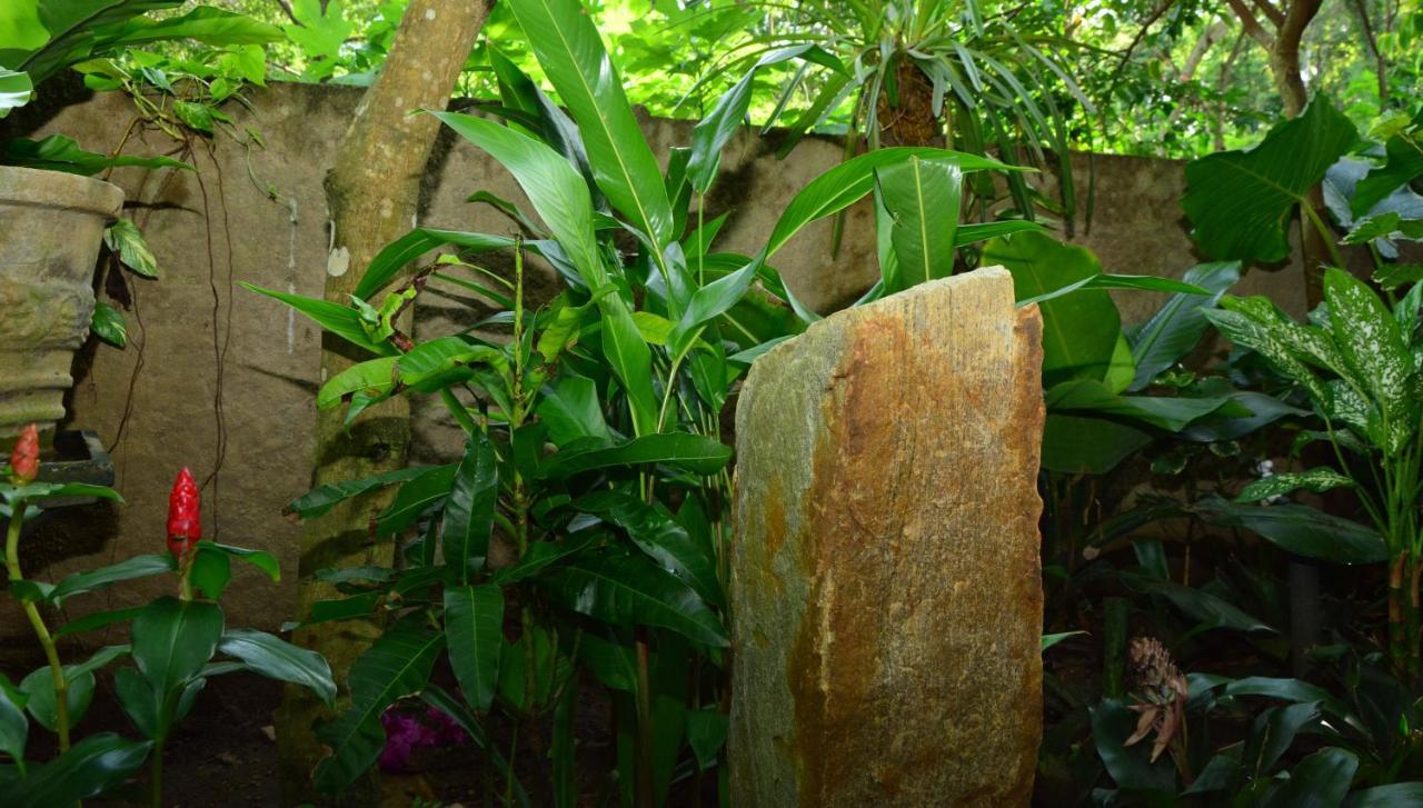 View Guesthouse & Bistro At Goyambokka Tangalle Bagian luar foto