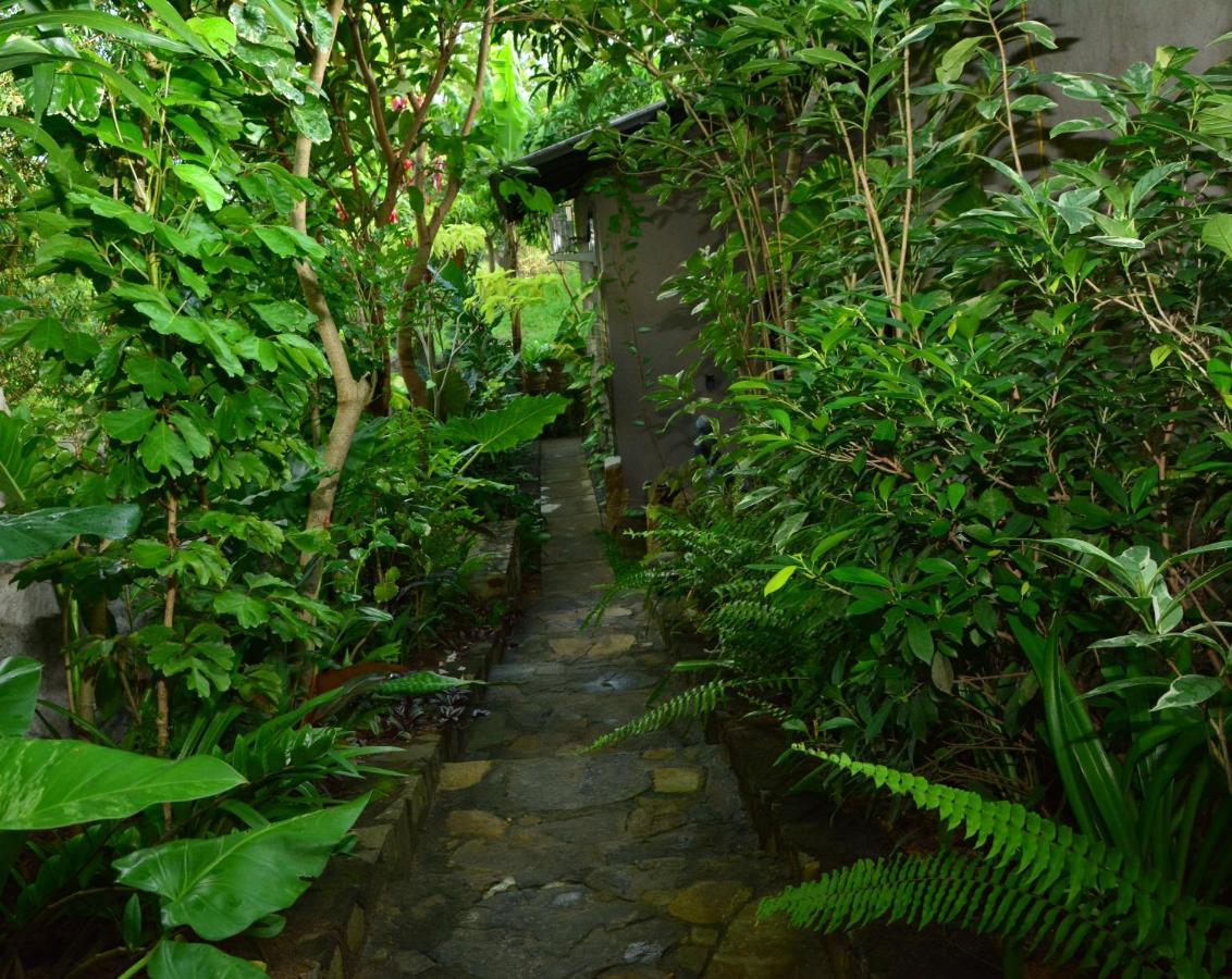 View Guesthouse & Bistro At Goyambokka Tangalle Bagian luar foto