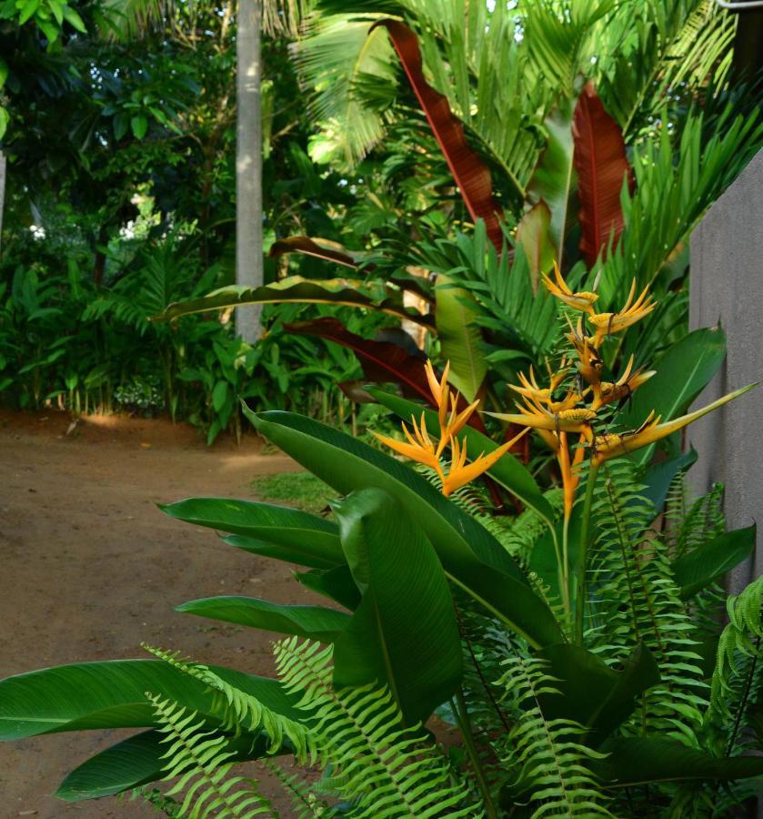 View Guesthouse & Bistro At Goyambokka Tangalle Bagian luar foto