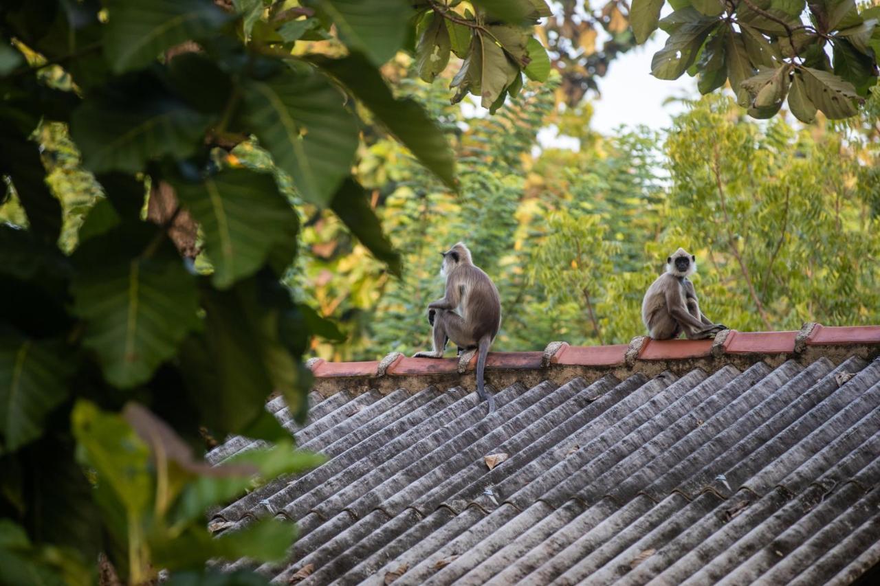 View Guesthouse & Bistro At Goyambokka Tangalle Bagian luar foto