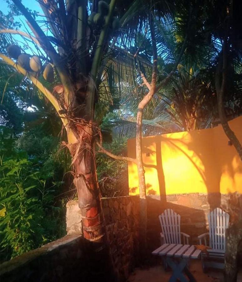 View Guesthouse & Bistro At Goyambokka Tangalle Bagian luar foto