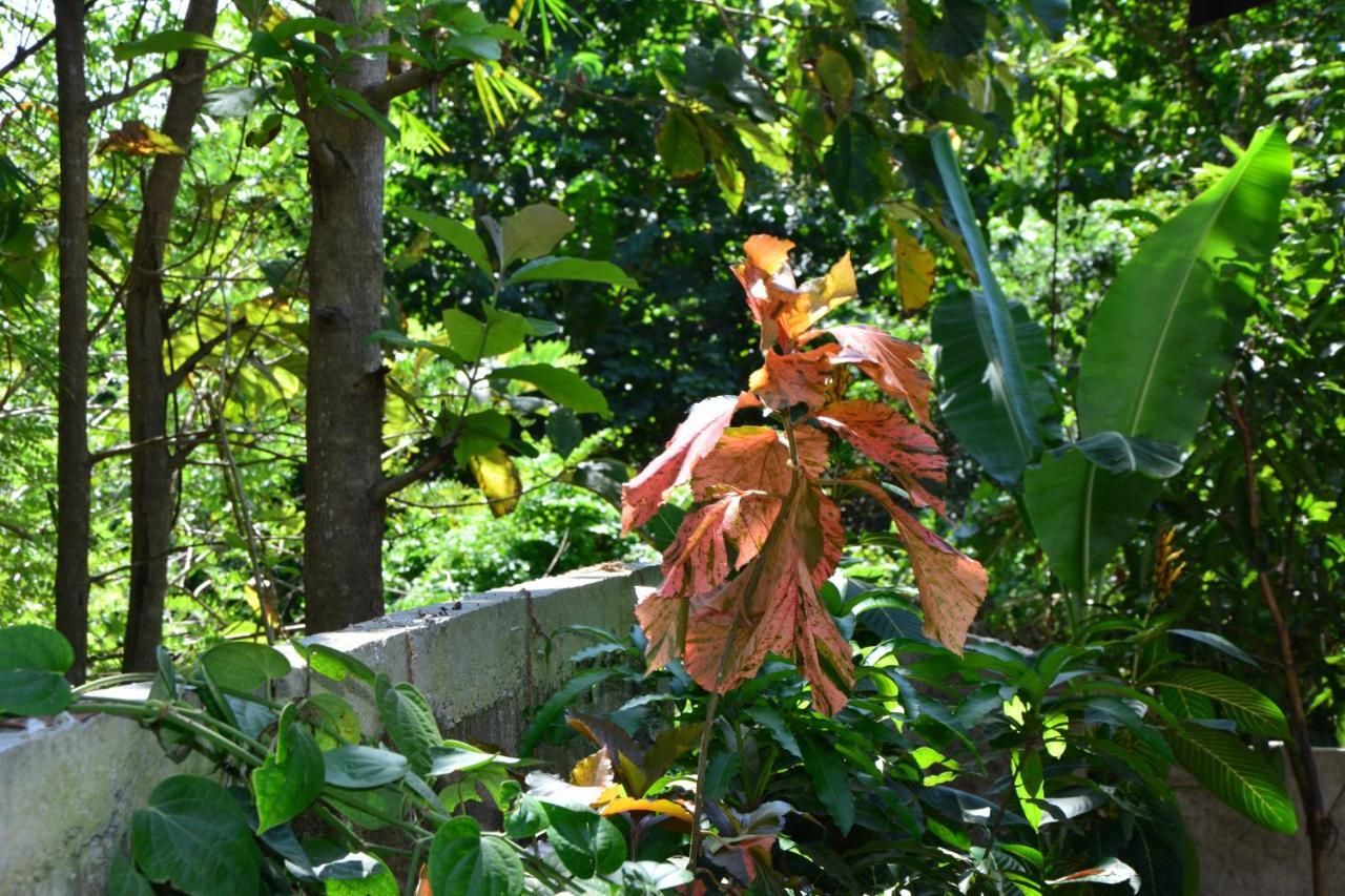 View Guesthouse & Bistro At Goyambokka Tangalle Bagian luar foto