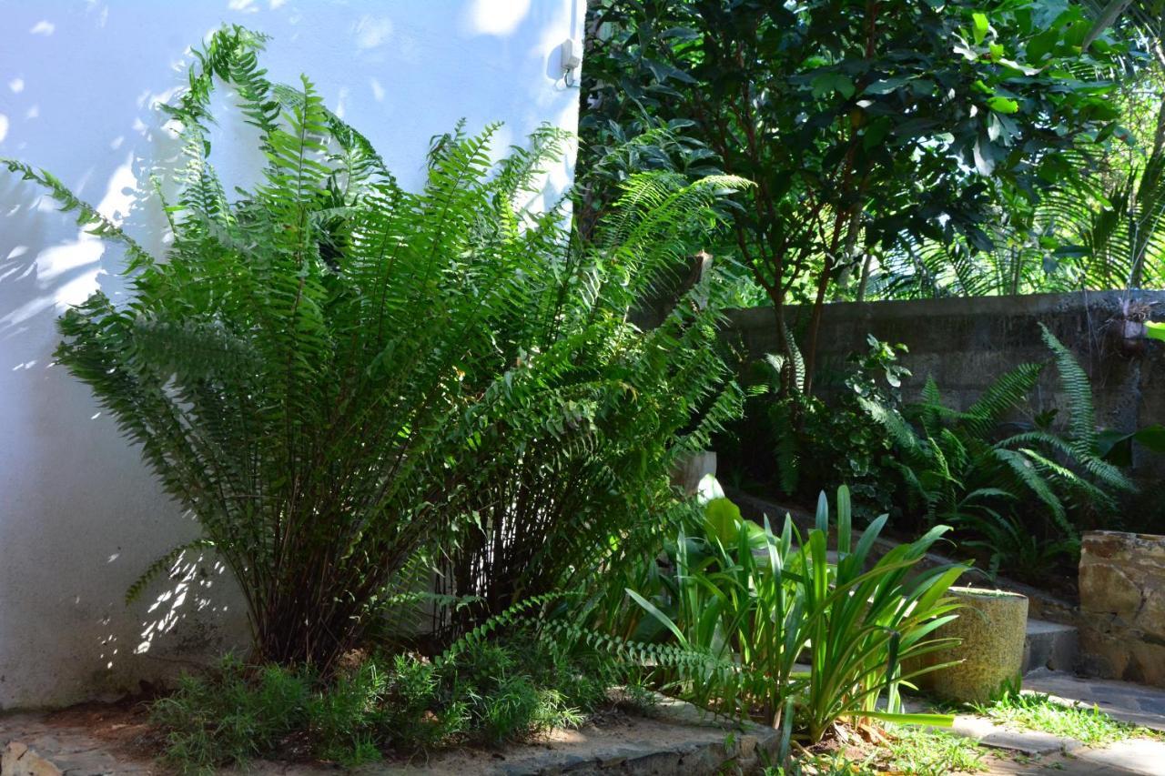 View Guesthouse & Bistro At Goyambokka Tangalle Bagian luar foto
