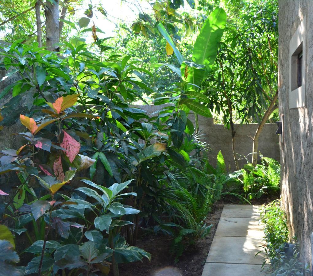 View Guesthouse & Bistro At Goyambokka Tangalle Bagian luar foto
